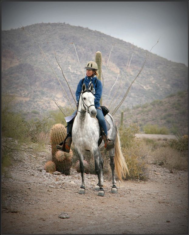 Competing in an ACTHA ride in November 2011. (Photo courtesy of Jennifer LaBelle, Silver Buckle Photography.)