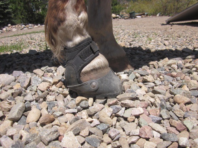 Nail-On vs Glue-On: How to Pick an EasyShoe for Your Horse