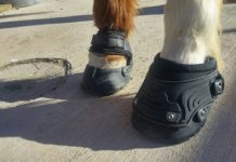 easyboot back country hoof boots
