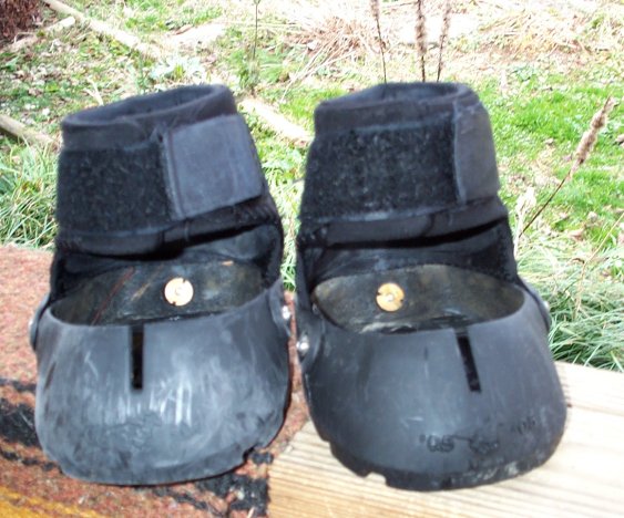 how to clean horse travel boots