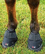 Hoof Abscesses and Protective Horse Boots - EasyCare Hoof Boot News