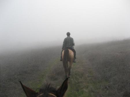 In the fog at Cool