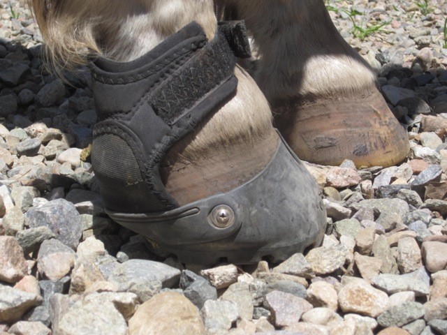 Gaiter Rubs? Check Your Heel Height - EasyCare Hoof Boot News