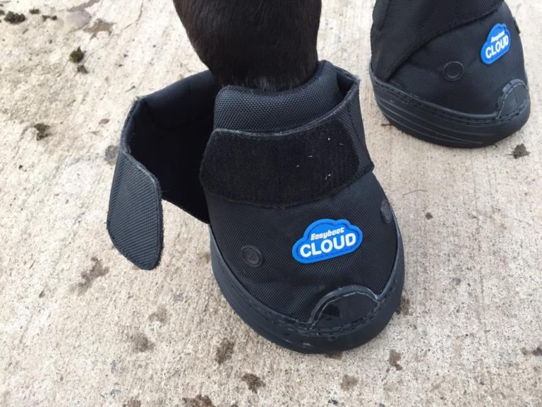 easyboot cloud boots
