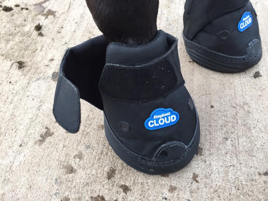 cloud hoof boots