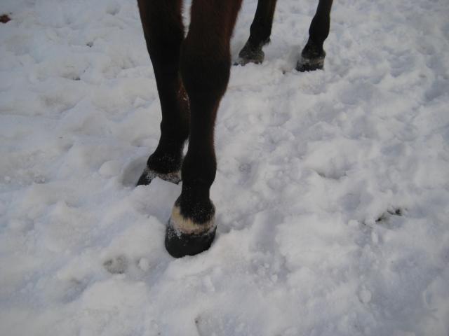 Boots in snow