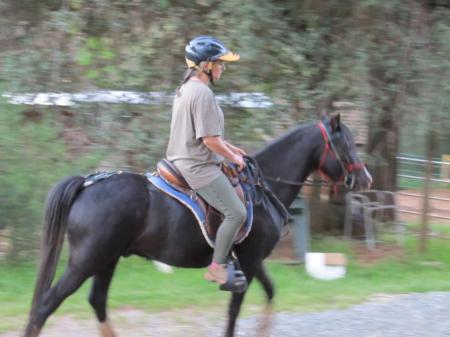 Jackit back under saddle after an 8 month hiatus