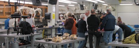 Great view of the lab at Auburn Universtiy Veterinary School.