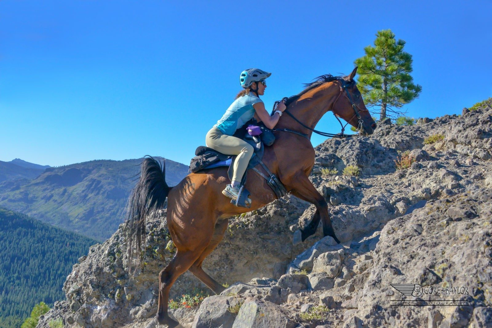 100-Mile Tevis Cup: One of the Top Ten Endurance Competitions in