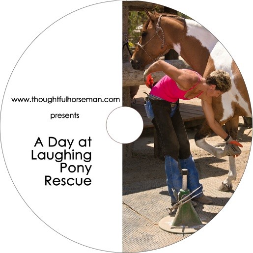 Laughing Pony Rescue DVD Image