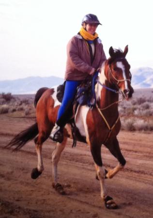 Uno displaying his saddlebred side...