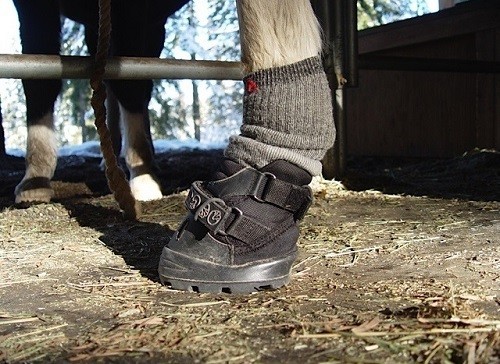 horse boot socks