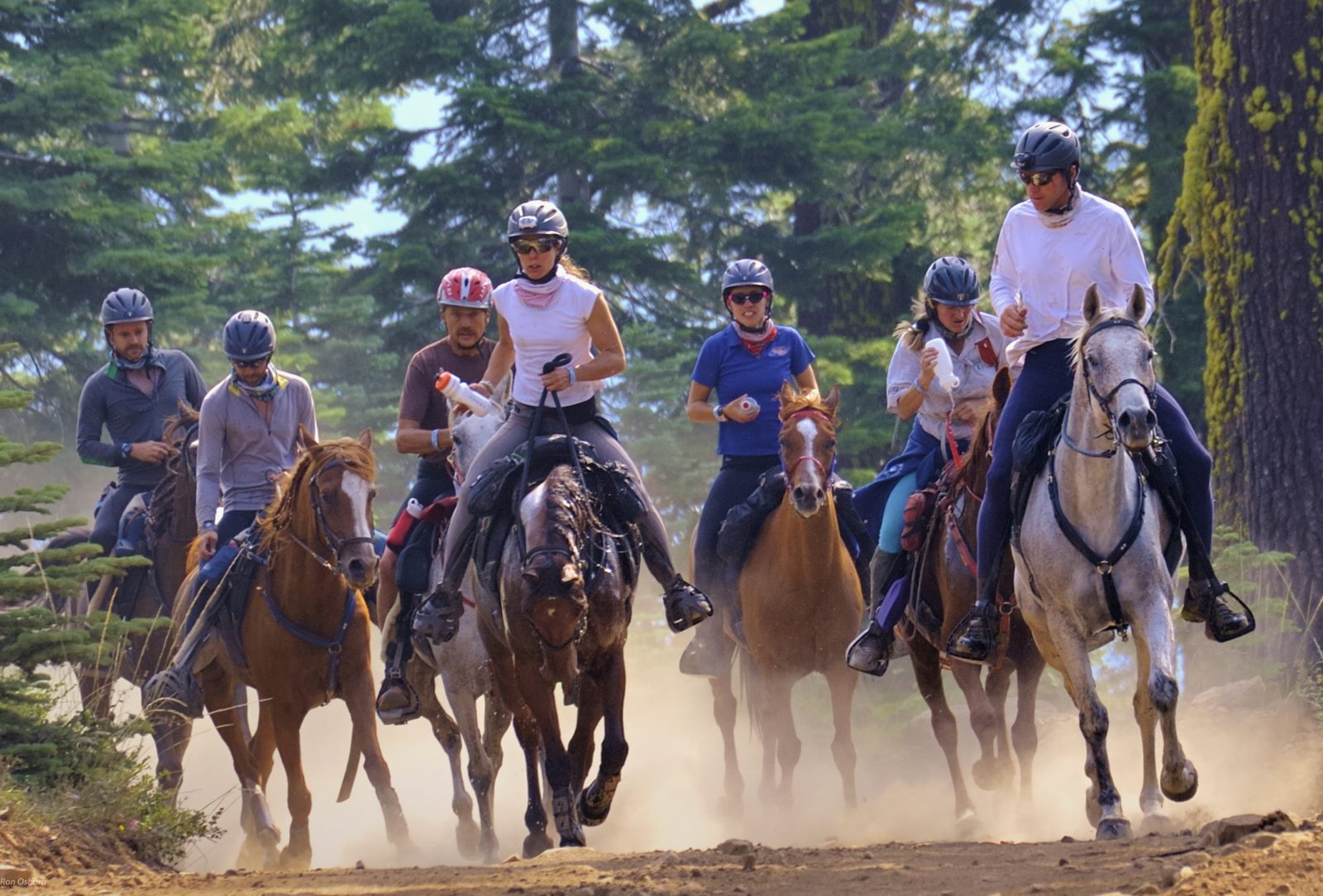 100Mile Tevis Cup One of the Top Ten Endurance Competitions in the