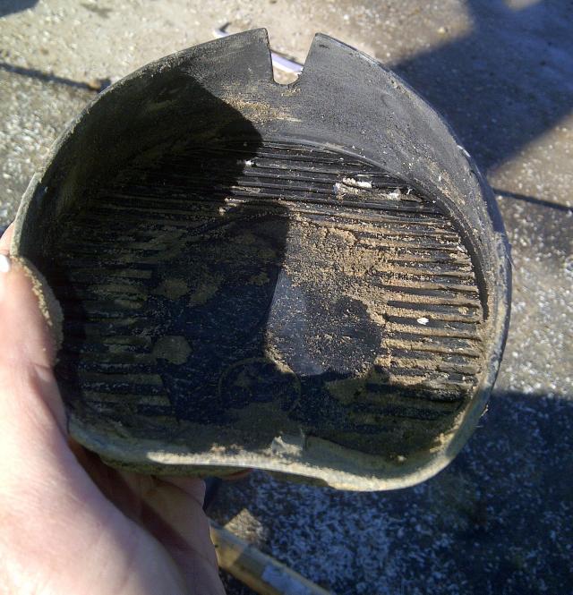 This boot actually stayed on 4 weeks, but it was removed VERY easily, so I was bound to loose it soon. Lesson learned: not enough glue! There was ZERO glue on the shell and only a smear of it on the hoof...guess we were feeling frugal with the Adhere that day...