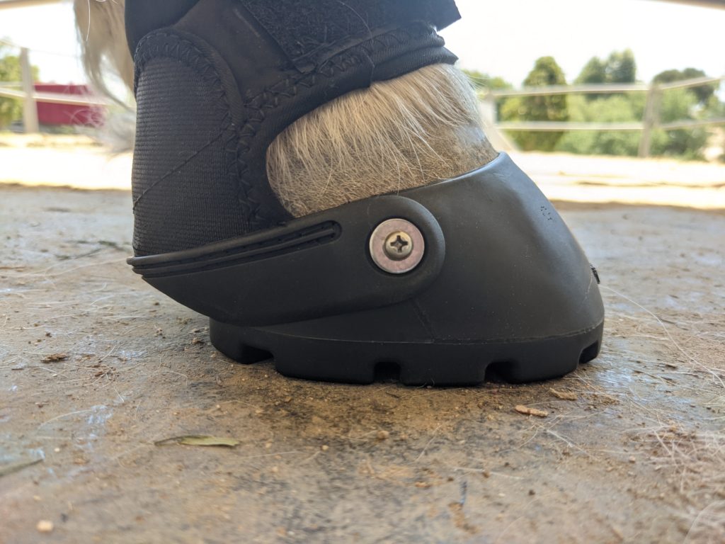 easyboot new trail horse boot