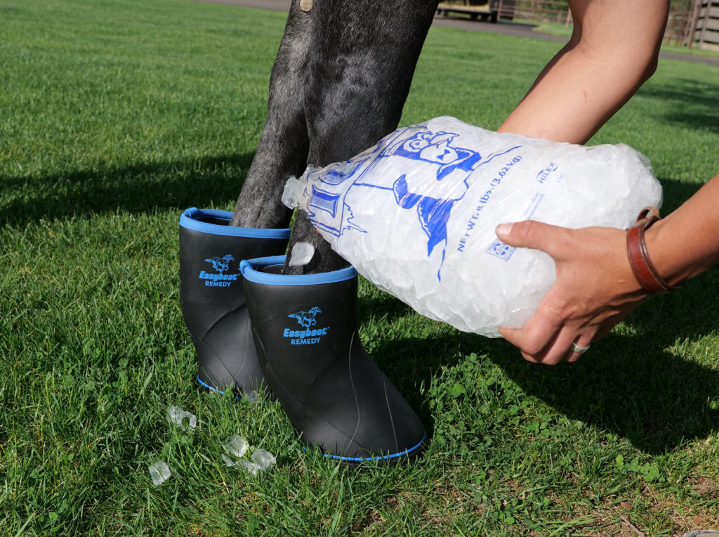 Introducing the Easyboot Remedy! - EasyCare Hoof Boot News