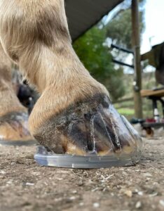 First Look at the EasyShoe 3D - EasyCare Hoof Boot News