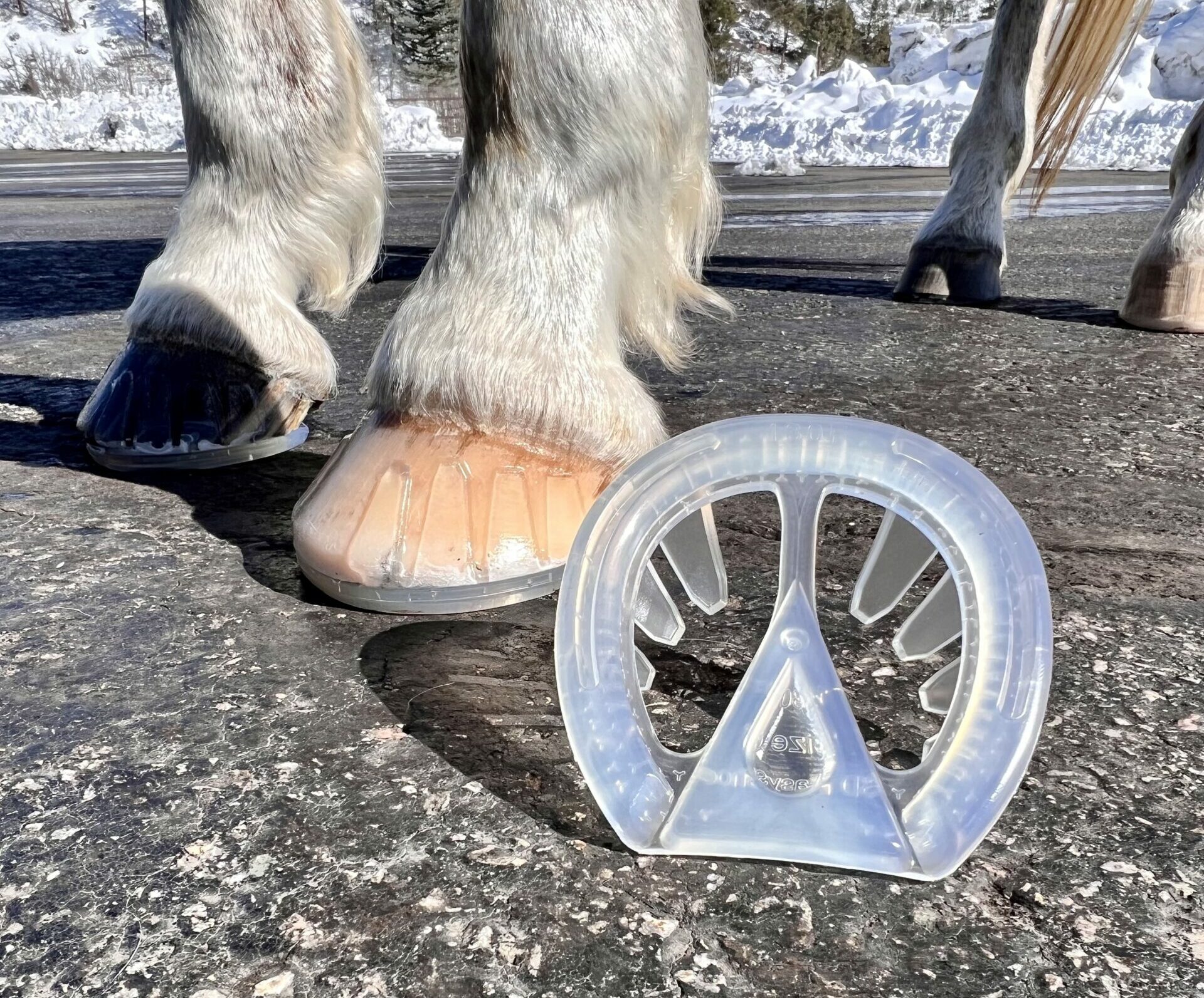 Introducing the EasyShoe 3D - EasyCare Hoof Boot News