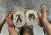 3 Ways to Customize the Fit of EasyShoes